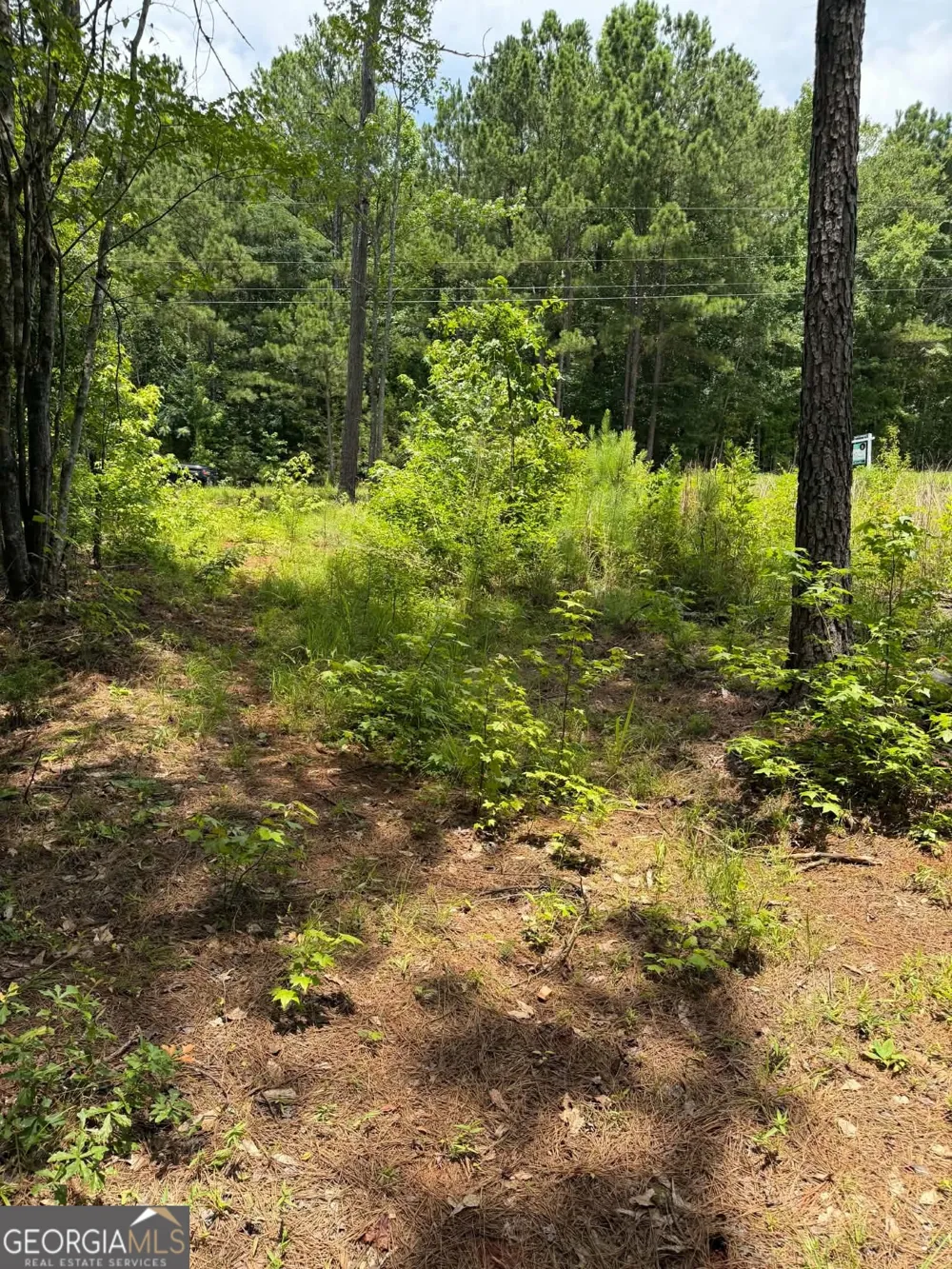 0 Whatley North RD LaGrange, GA 30240