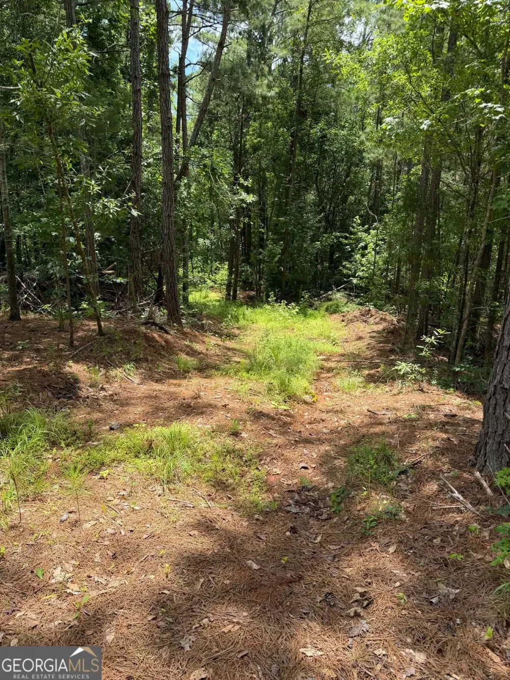 0 Whatley North RD LaGrange, GA 30240