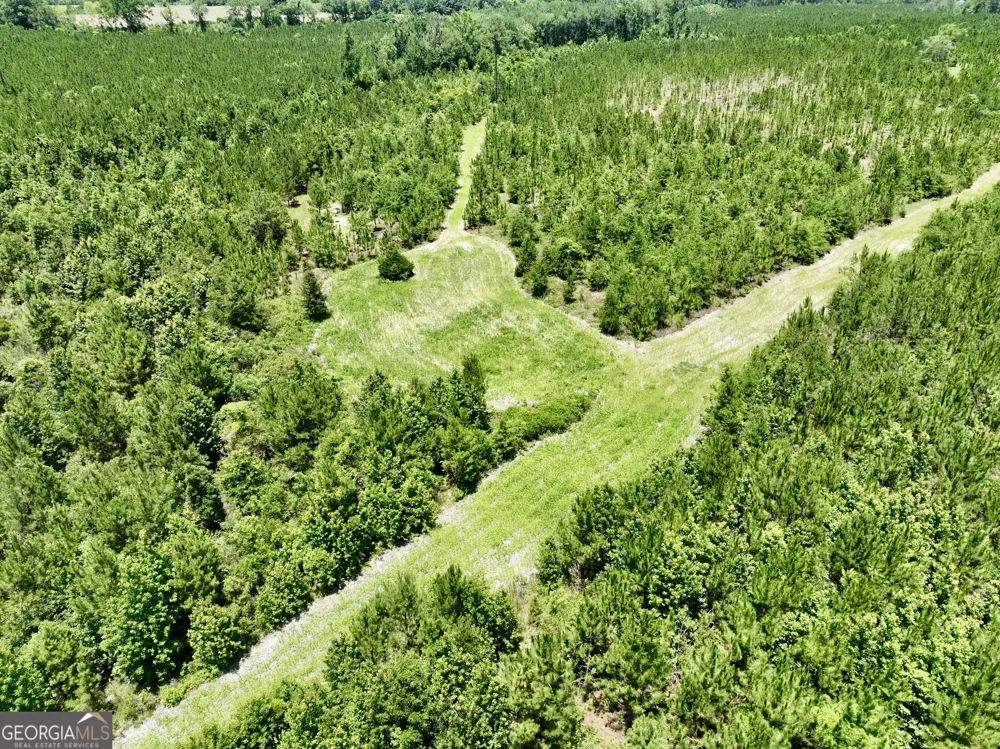 0 W. River RD Rhine, GA 31077