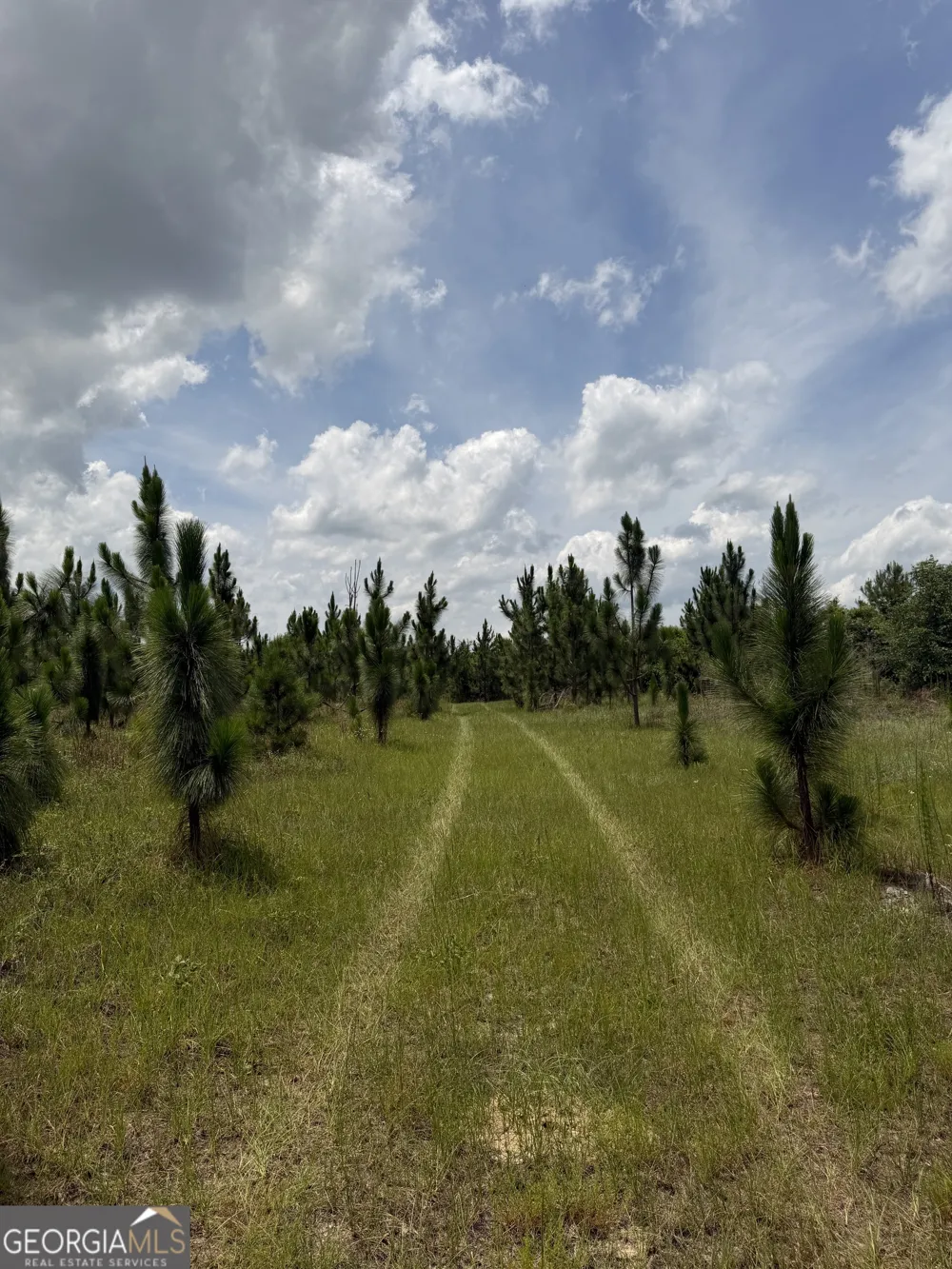 0 W. River RD Rhine, GA 31077
