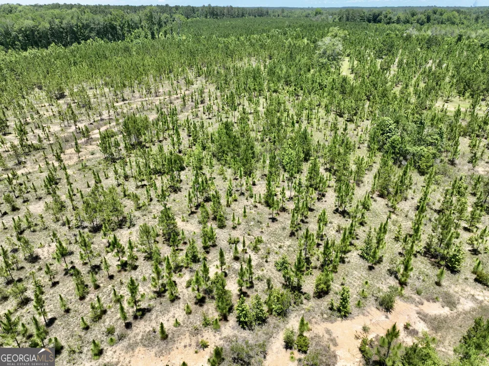 0 W. River RD Rhine, GA 31077