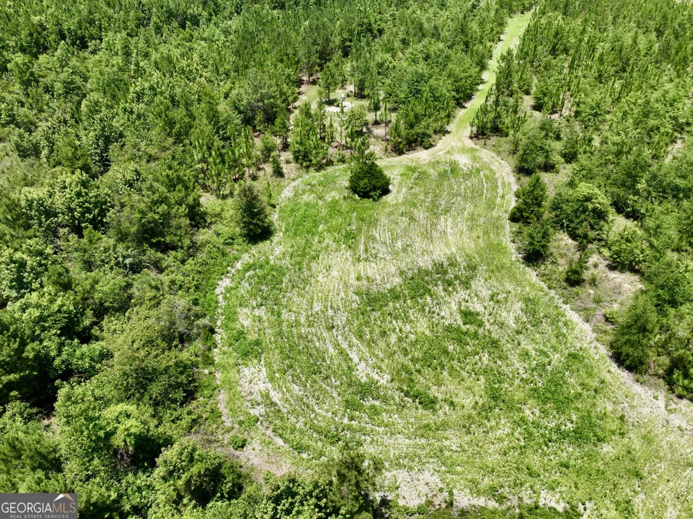 0 W. River RD Rhine, GA 31077