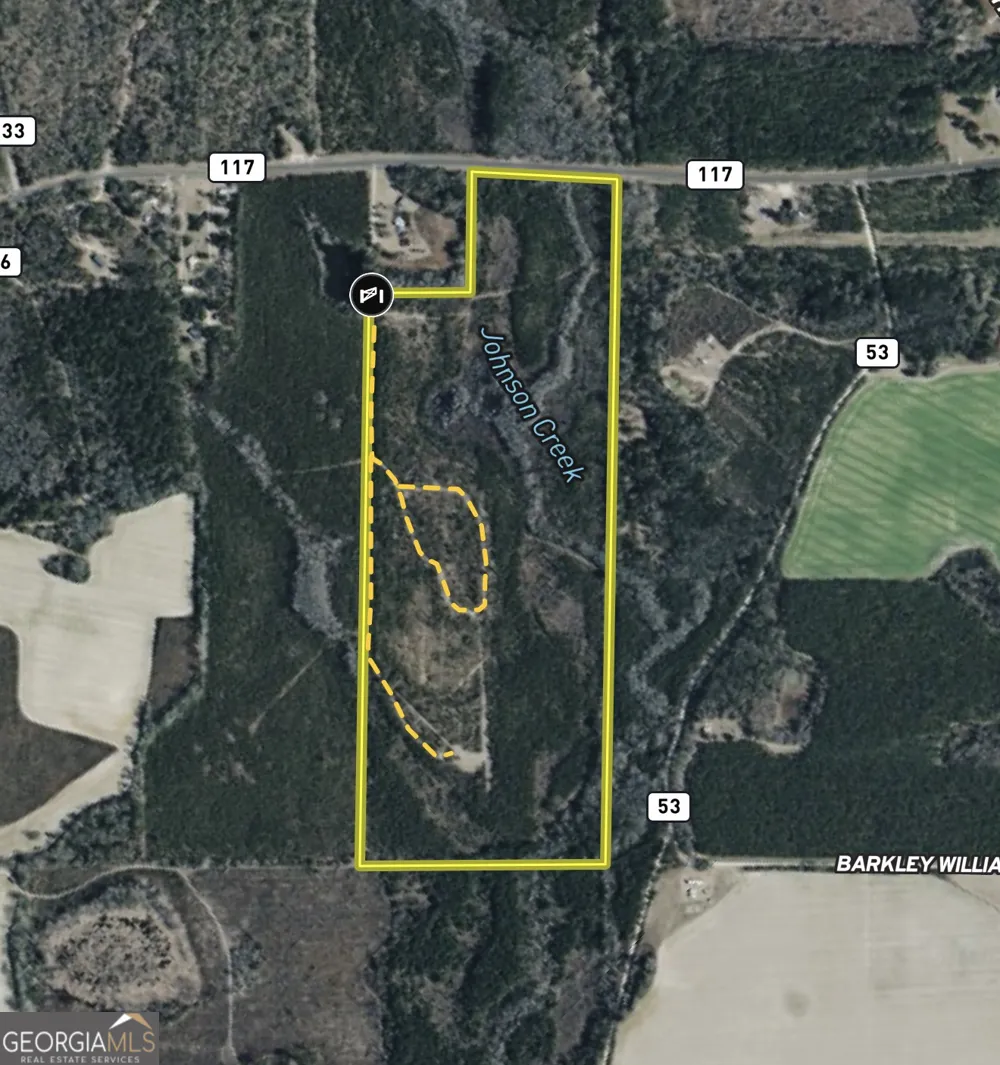 0 W. River RD Rhine, GA 31077