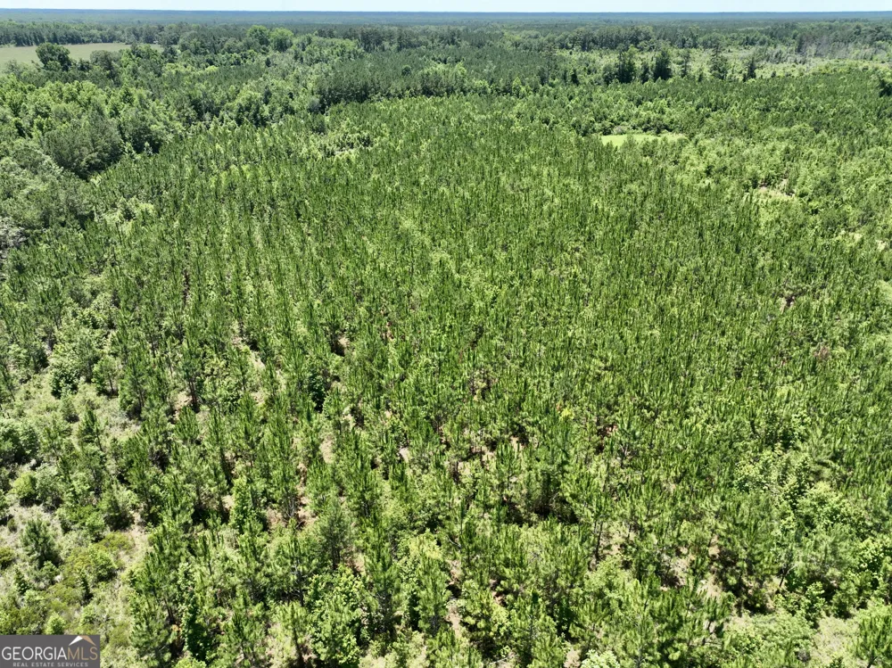 0 W. River RD Rhine, GA 31077