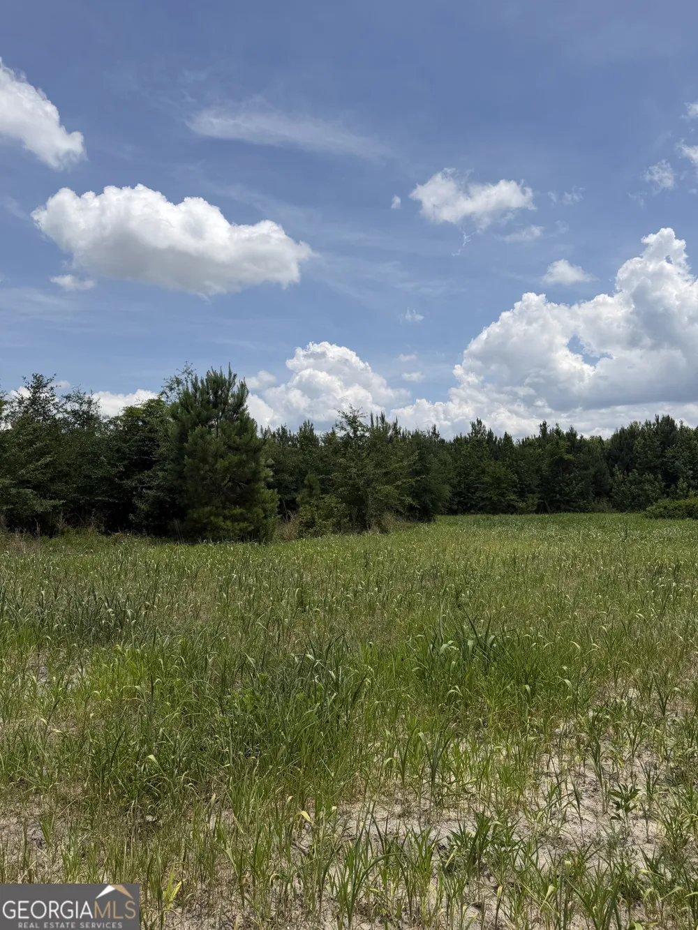 0 W. River RD Rhine, GA 31077