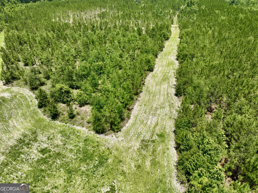 0 W. River RD Rhine, GA 31077