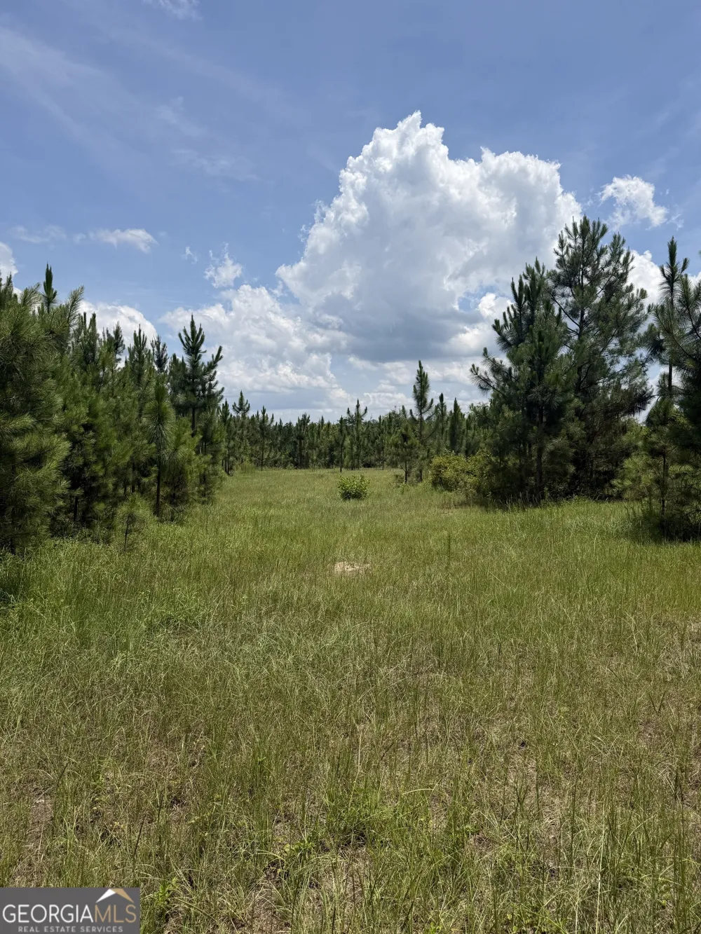 0 W. River RD Rhine, GA 31077