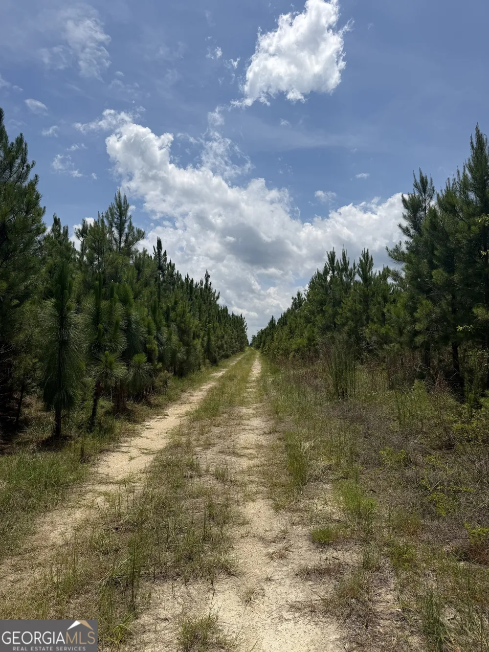 0 W. River RD Rhine, GA 31077