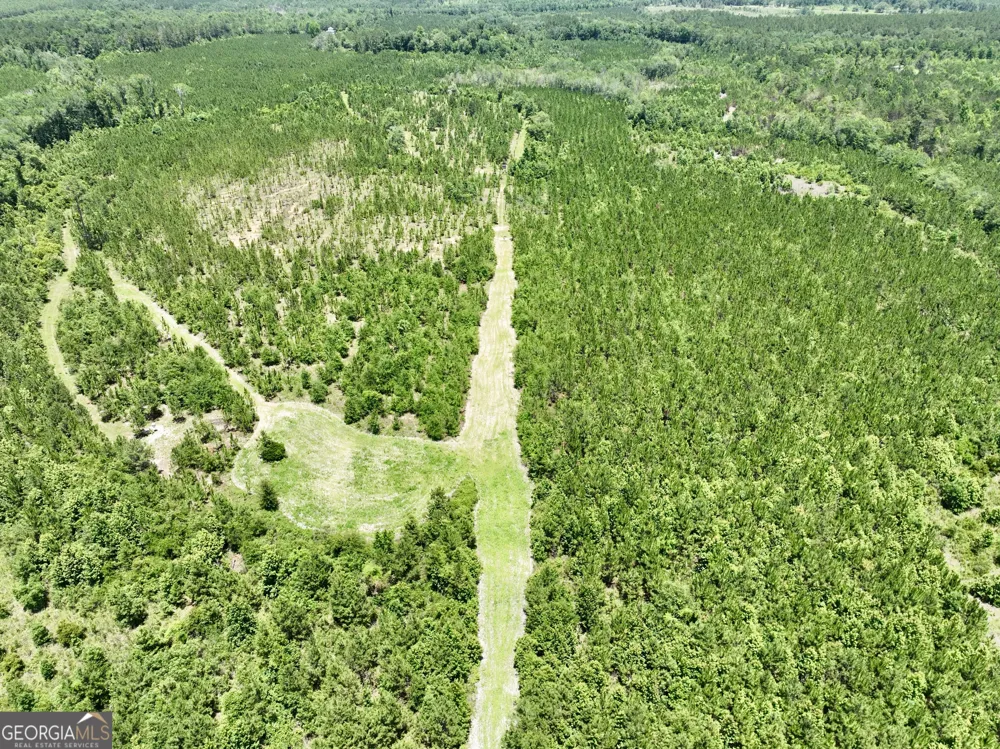 0 W. River RD Rhine, GA 31077