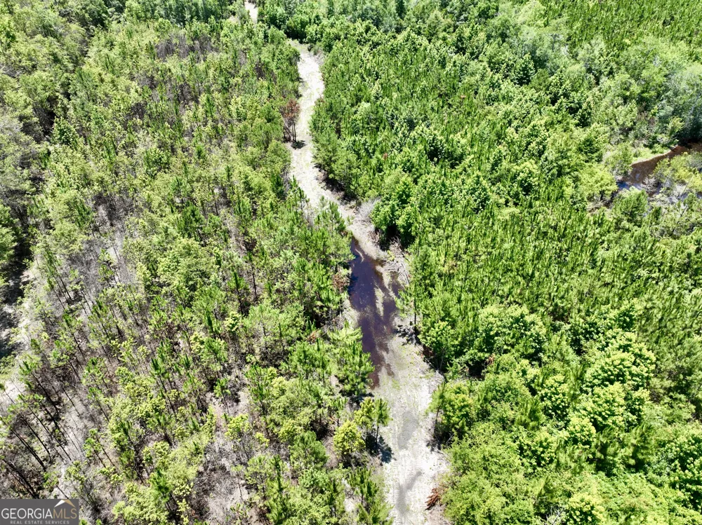 0 W. River RD Rhine, GA 31077