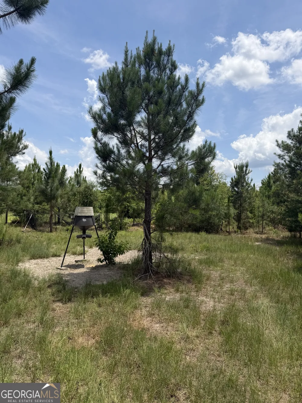 0 W. River RD Rhine, GA 31077