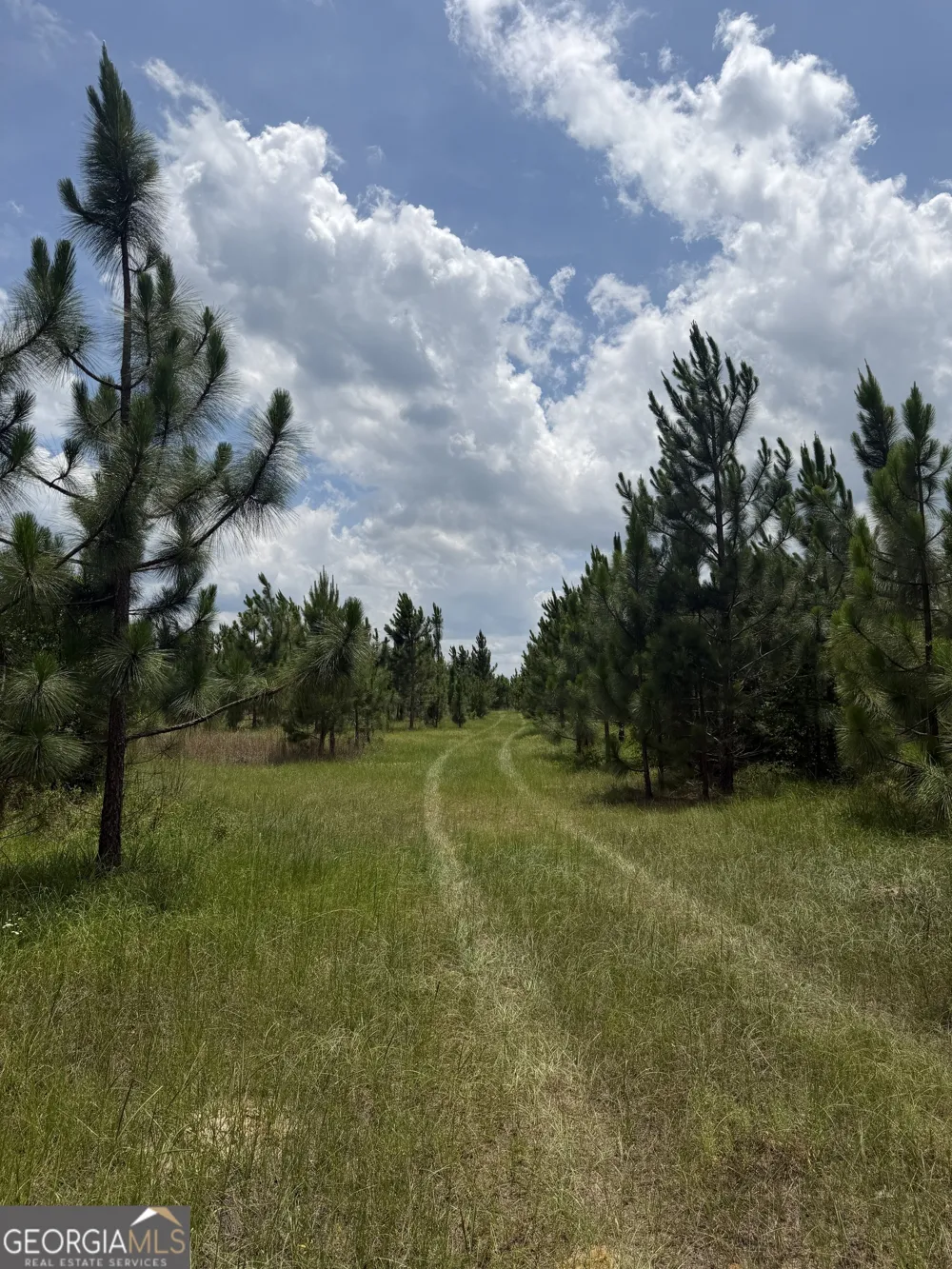 0 W. River RD Rhine, GA 31077