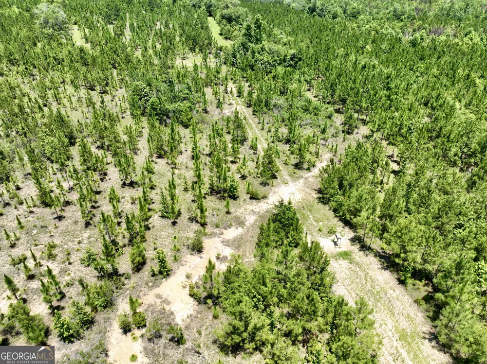 0 W. River RD Rhine, GA 31077