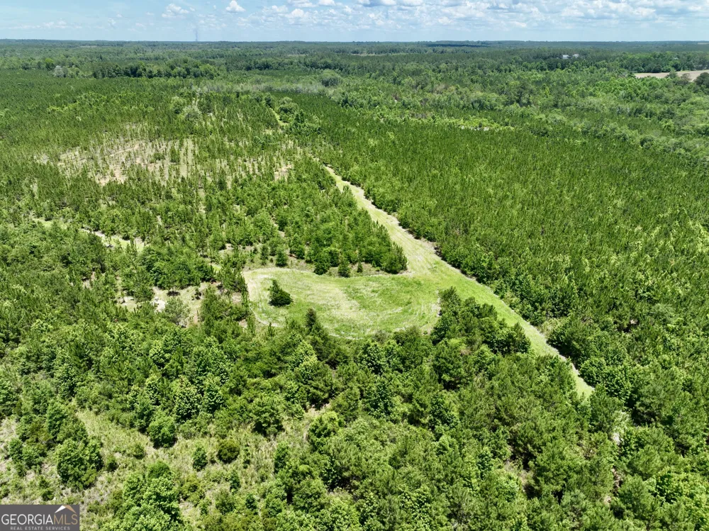 0 W. River RD Rhine, GA 31077