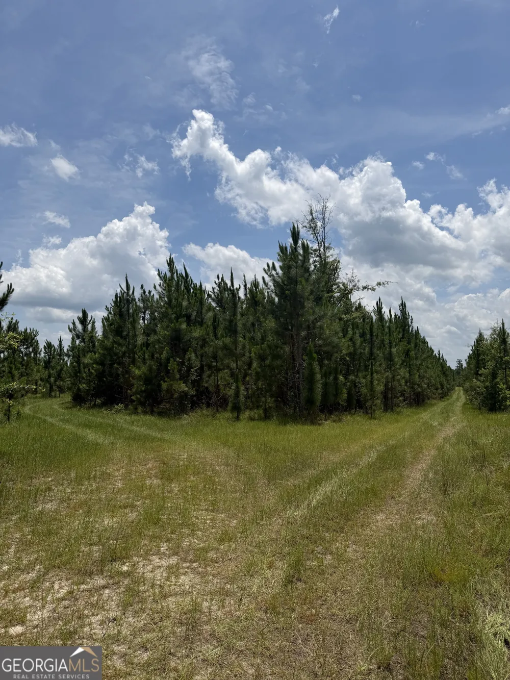 0 W. River RD Rhine, GA 31077