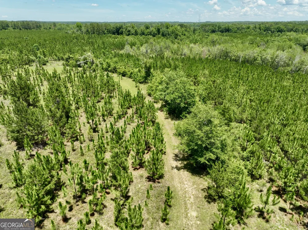 0 W. River RD Rhine, GA 31077