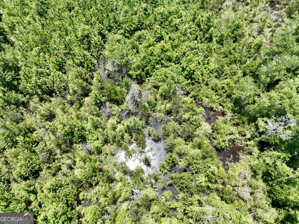 0 W. River RD Rhine, GA 31077