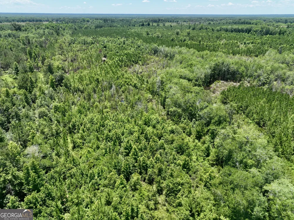 0 W. River RD Rhine, GA 31077