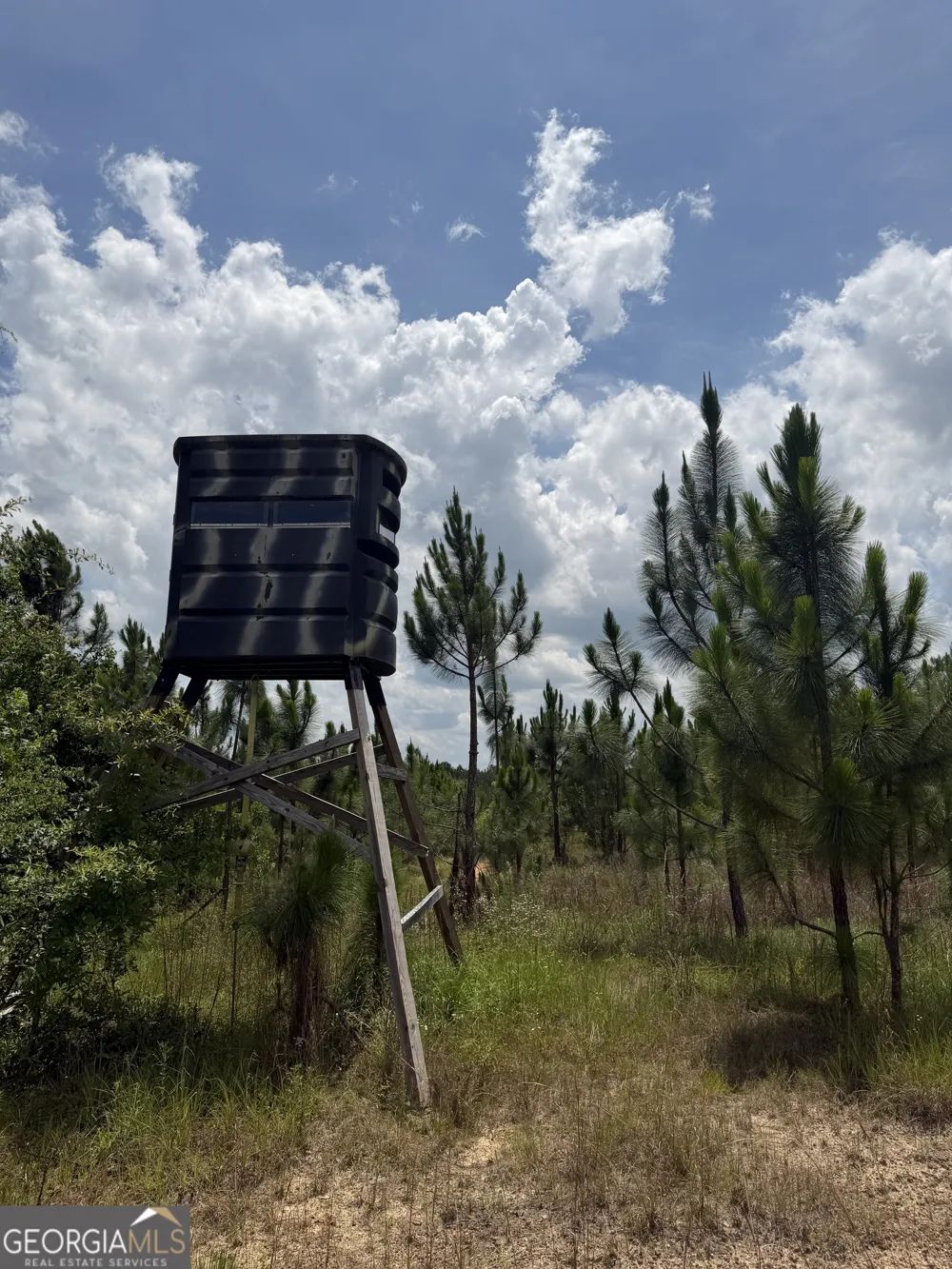 0 W. River RD Rhine, GA 31077