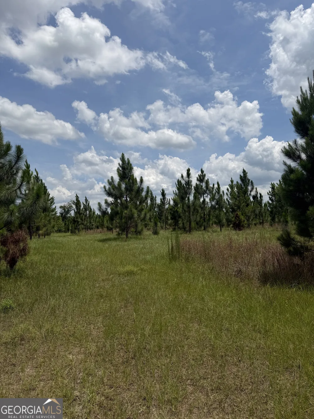 0 W. River RD Rhine, GA 31077
