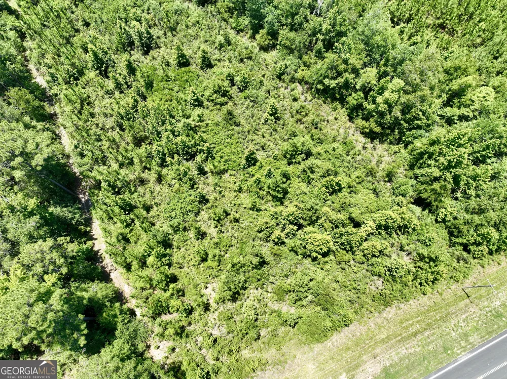 0 W. River RD Rhine, GA 31077