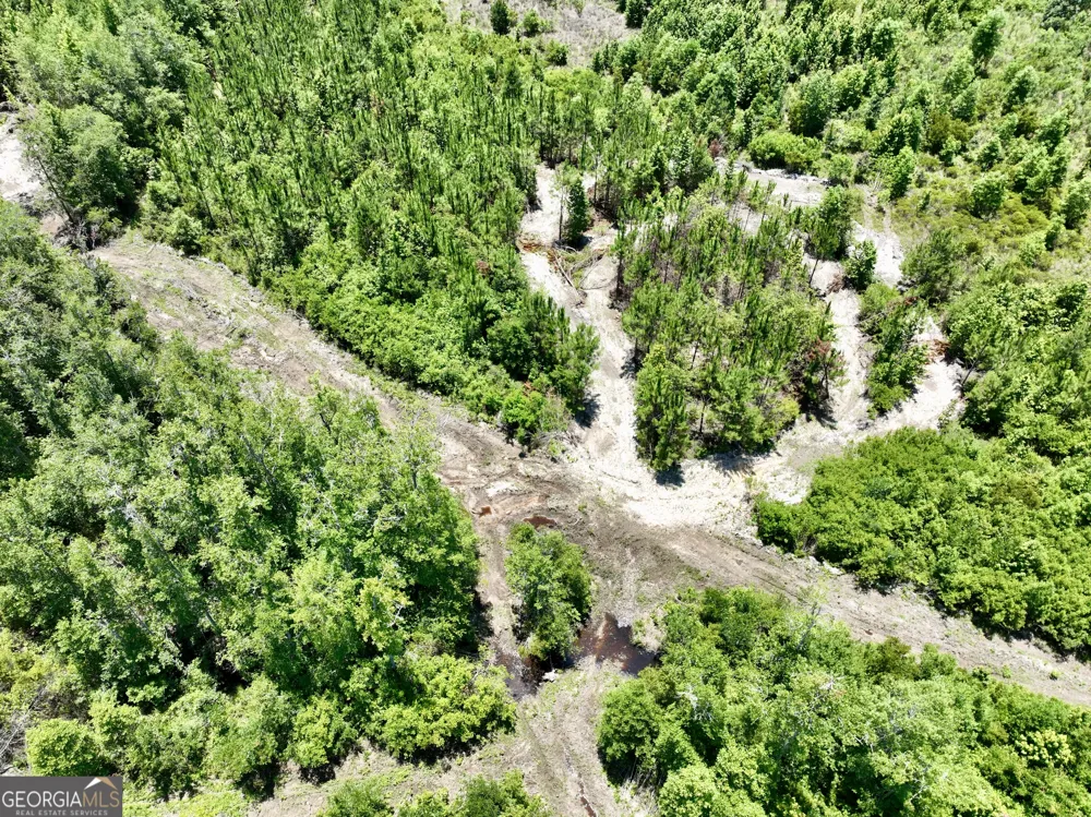 0 W. River RD Rhine, GA 31077