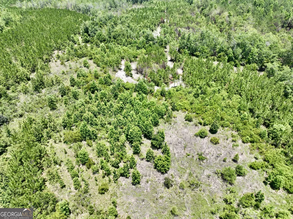 0 W. River RD Rhine, GA 31077