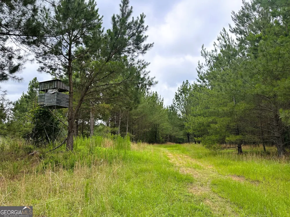 3330 Callaway RD Union Point, GA 30669