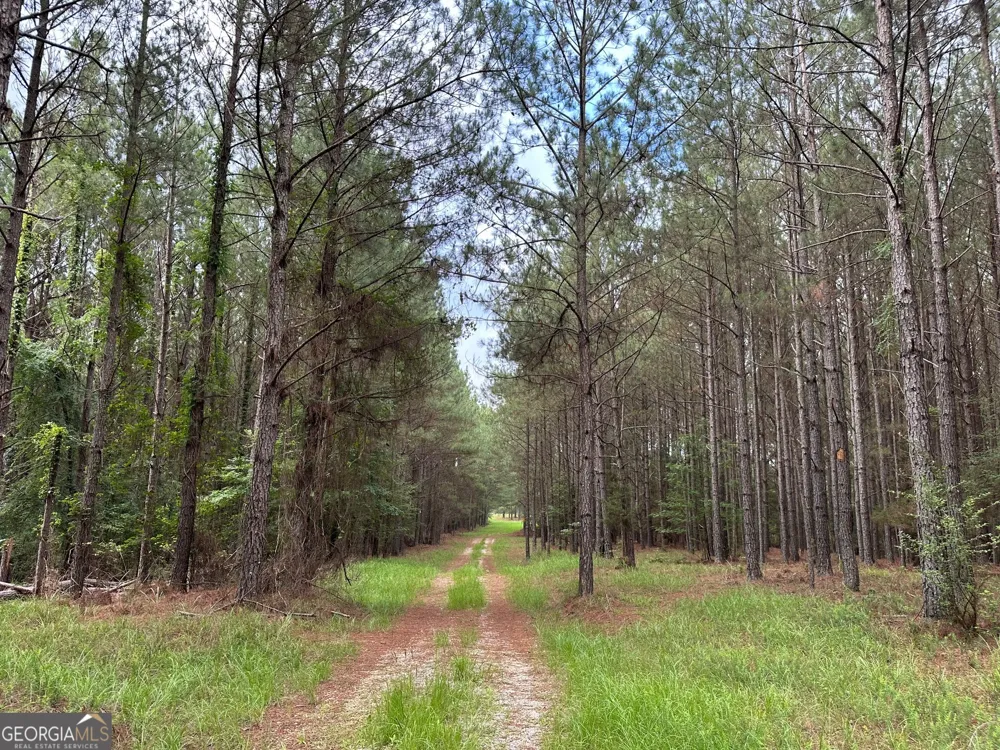 3330 Callaway RD Union Point, GA 30669