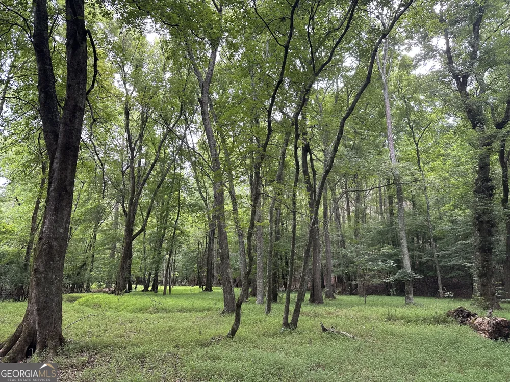 3330 Callaway RD Union Point, GA 30669