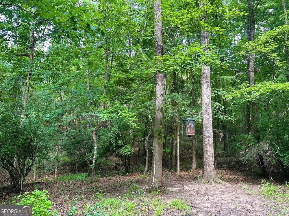 3330 Callaway RD Union Point, GA 30669