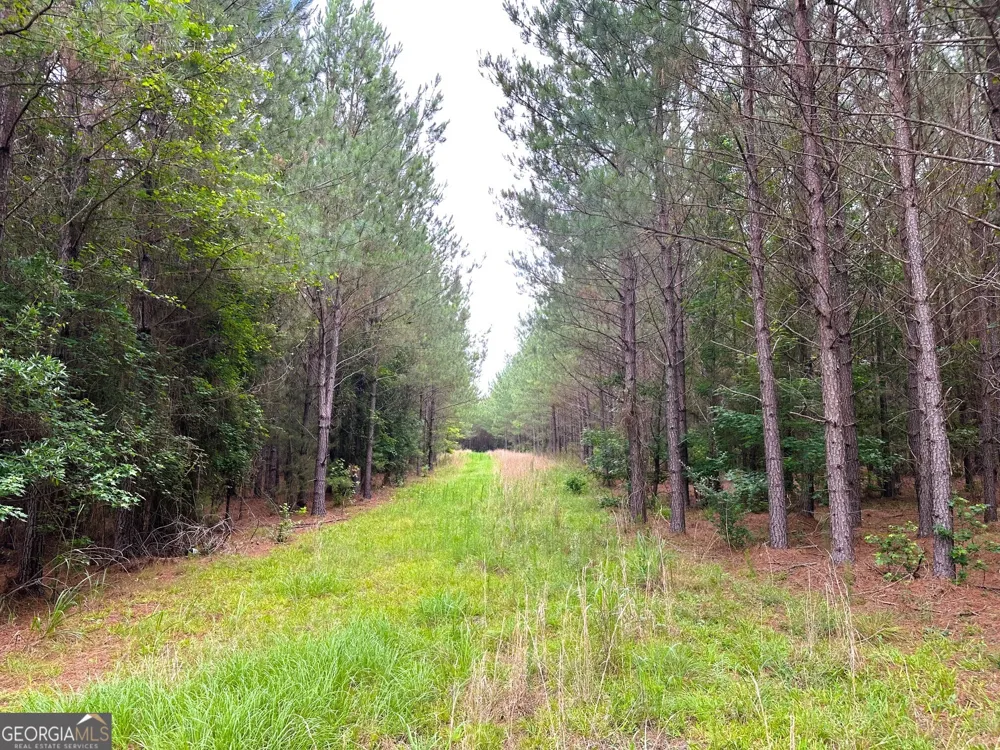 3330 Callaway RD Union Point, GA 30669