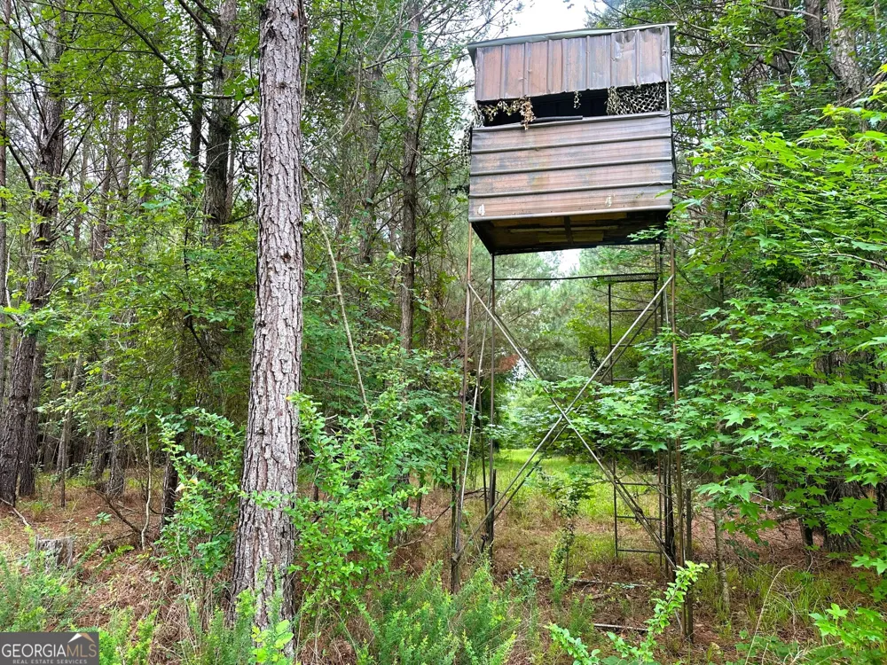 3330 Callaway RD Union Point, GA 30669