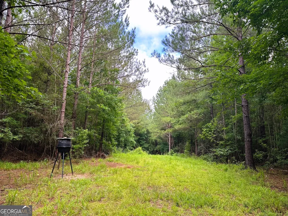 3330 Callaway RD Union Point, GA 30669