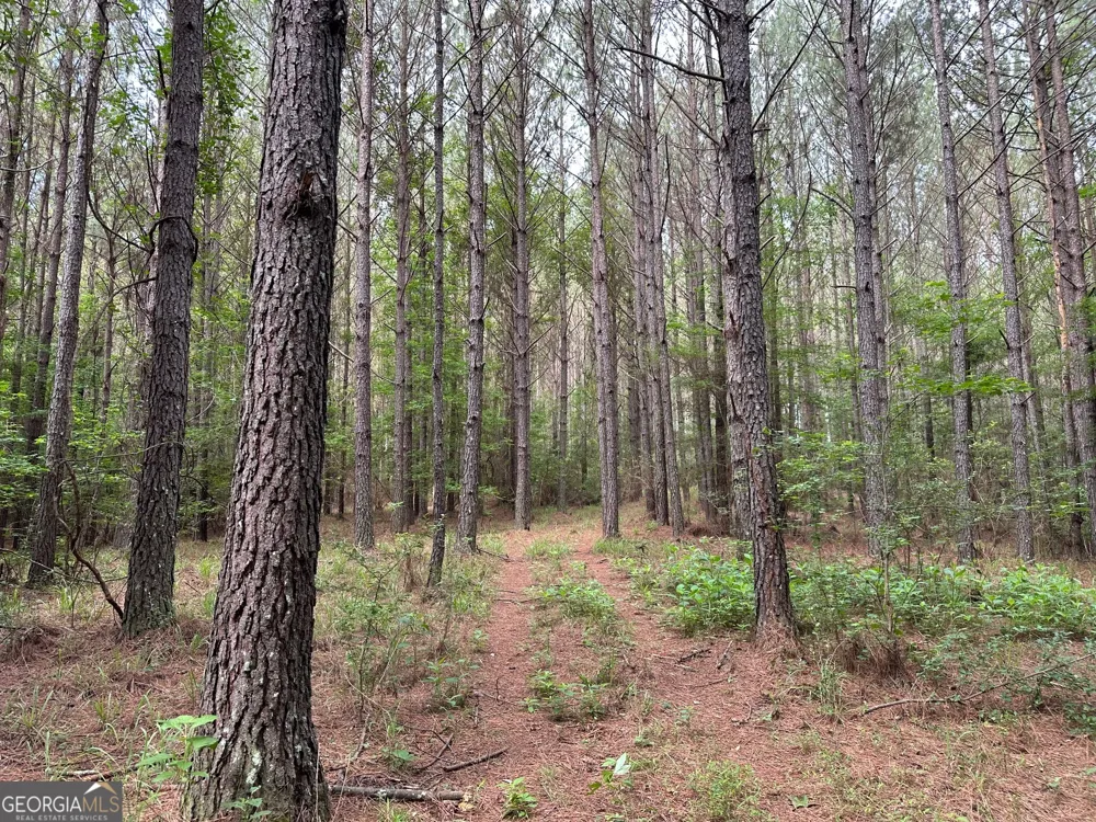 3330 Callaway RD Union Point, GA 30669