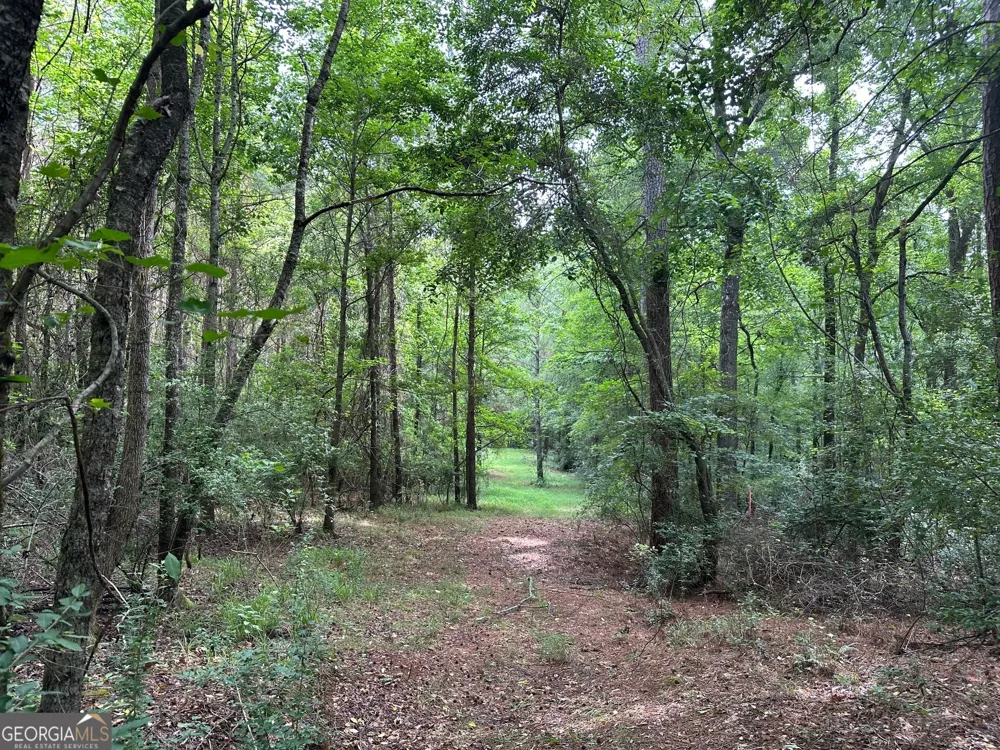 3330 Callaway RD Union Point, GA 30669