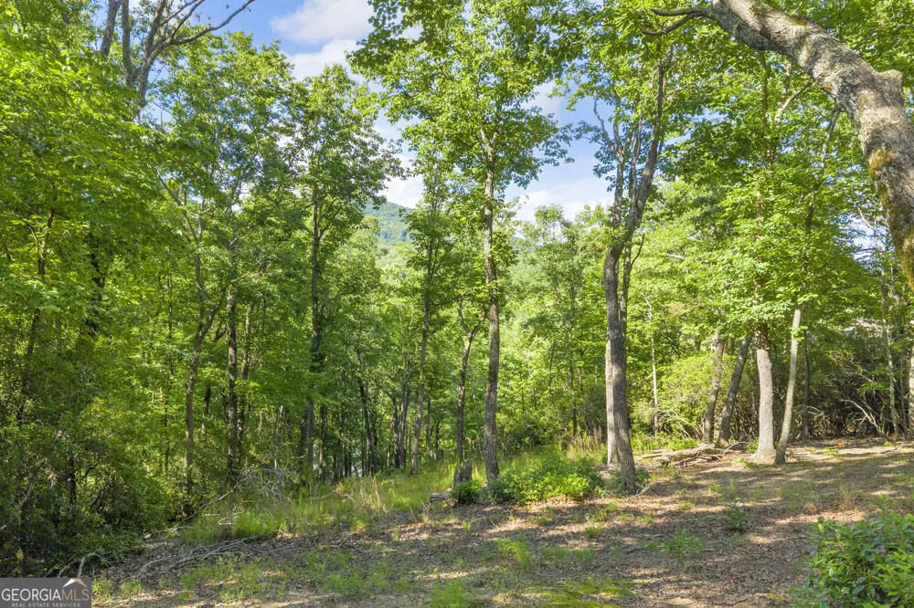 0 Lake Watch PT Cleveland, GA 30528