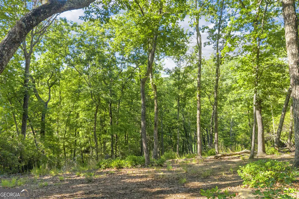 0 Lake Watch PT Cleveland, GA 30528