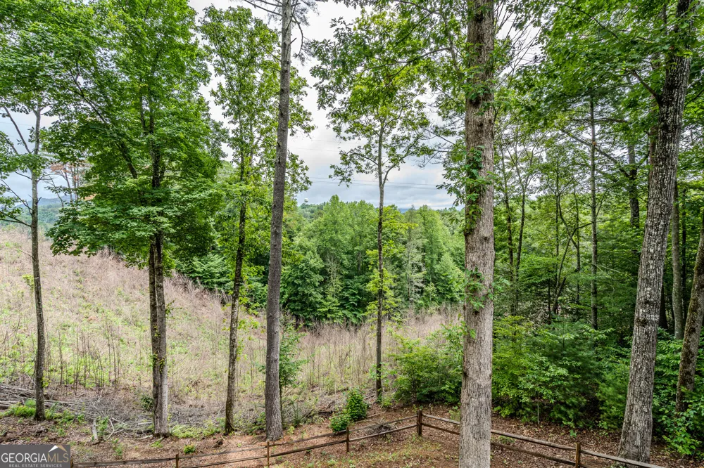 1095 Lonesome Pine RD Murphy, NC 28906
