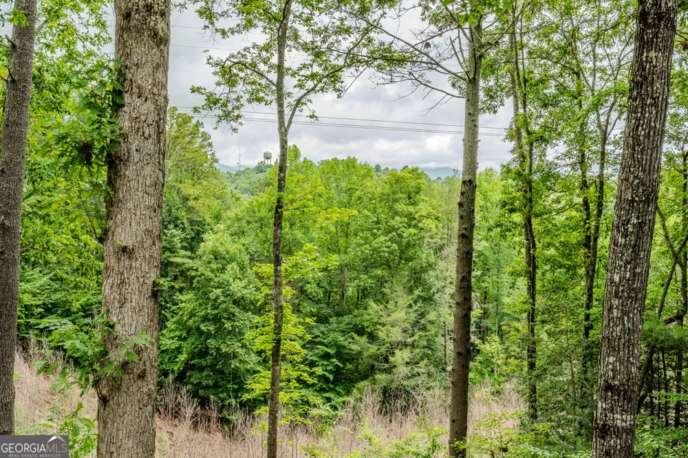 1095 Lonesome Pine RD Murphy, NC 28906