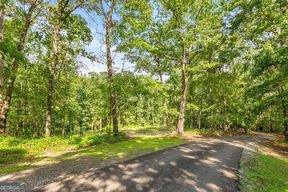 173 Hogan Pond LN Ball Ground, GA 30107