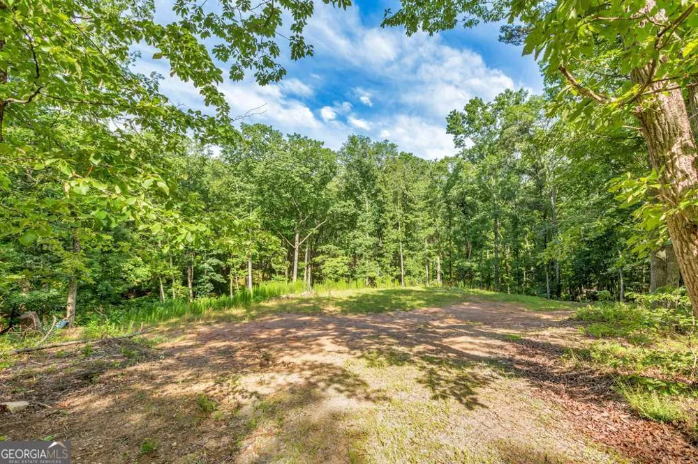 173 Hogan Pond LN Ball Ground, GA 30107