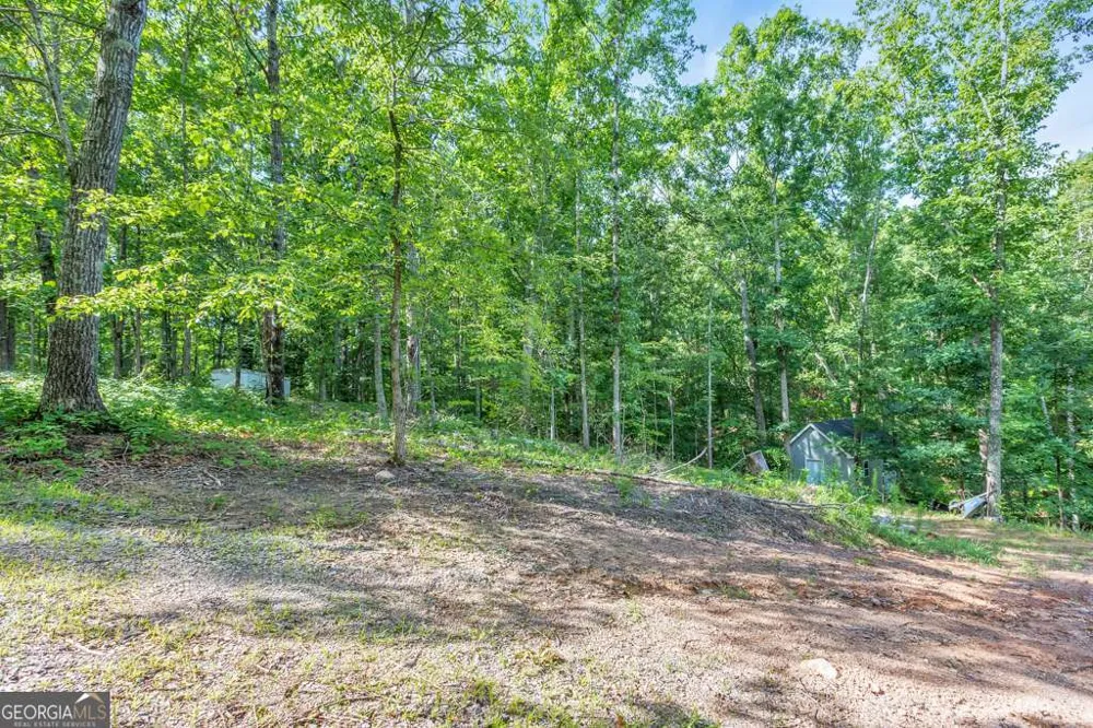 173 Hogan Pond LN Ball Ground, GA 30107
