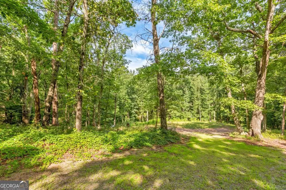 173 Hogan Pond LN Ball Ground, GA 30107