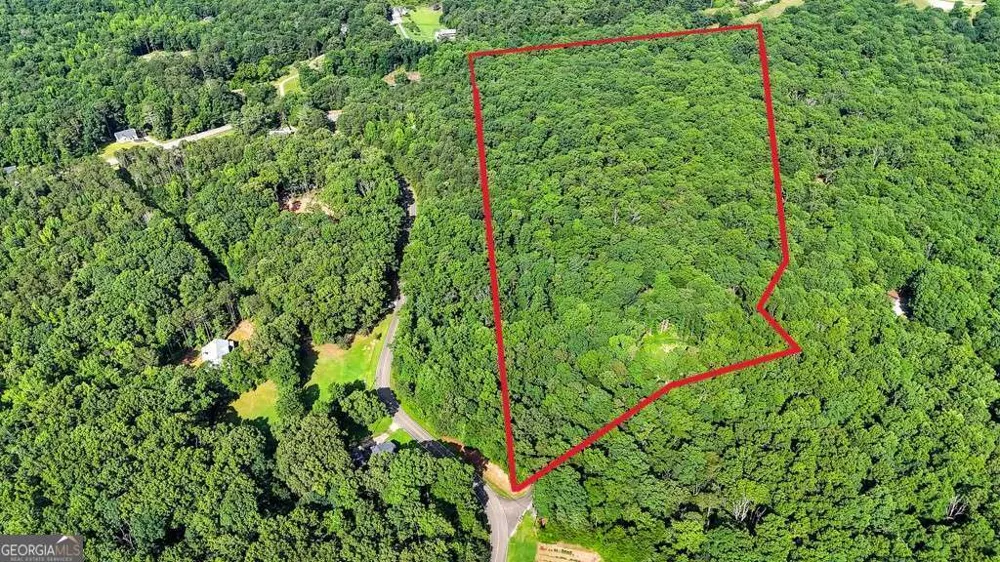 173 Hogan Pond LN Ball Ground, GA 30107