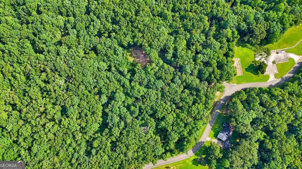 173 Hogan Pond LN Ball Ground, GA 30107