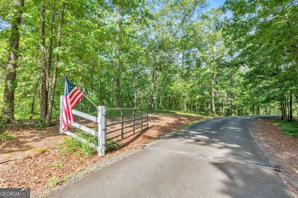 173 Hogan Pond LN Ball Ground, GA 30107