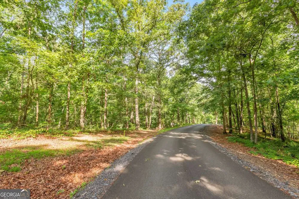 173 Hogan Pond LN Ball Ground, GA 30107