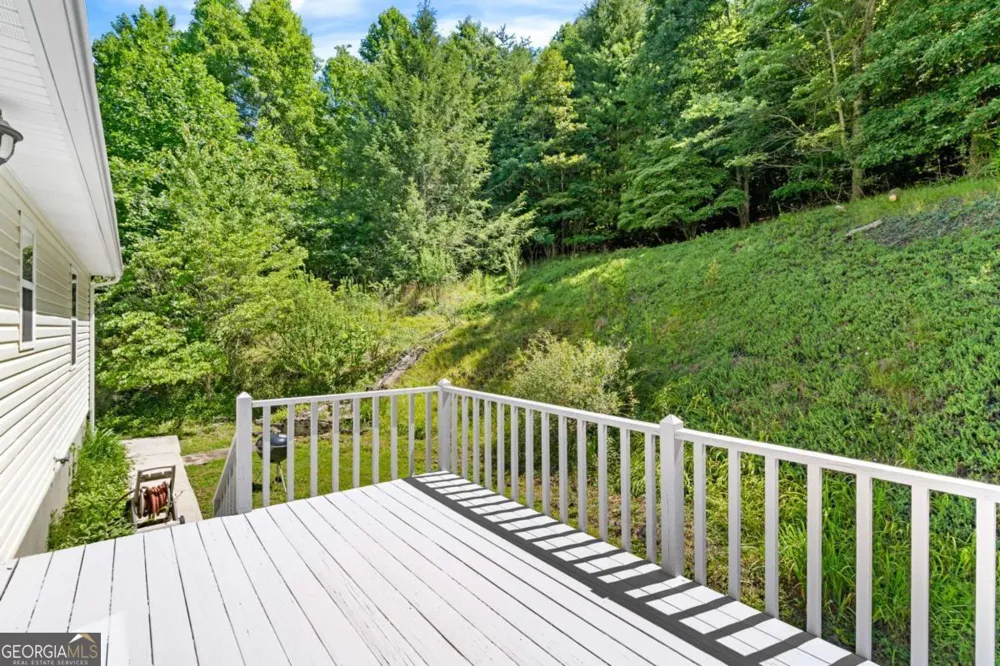 810 Hog Creek RD Hiawassee, GA 30546