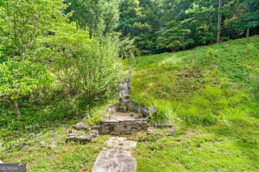 810 Hog Creek RD Hiawassee, GA 30546